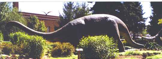 Brontosaurus