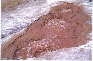 Bubbling Mud at Crystal Geyser