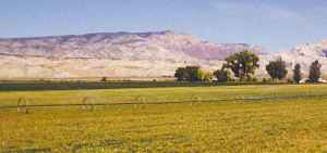 Dinosaur Monument with Irrigation Sprinklers
