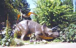 Triceratops