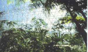 Biosphere 2 Rainforest