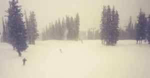 Skiing through the snowflakes