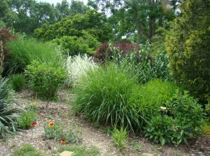 Dawes All Season Garden