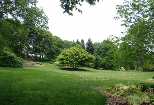 Dawes All Season Garden