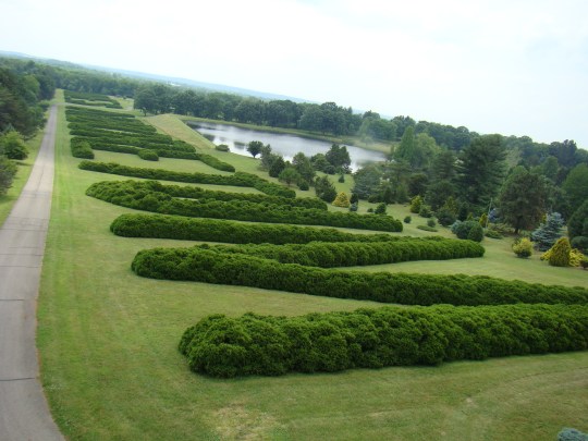 Large Hedge spells our Dawes Arboretum.