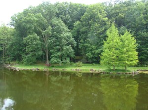 Lake at Japanese Gardens