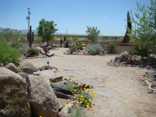 Desert Botanical Garden