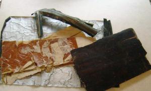 Pieces of Shenandoah: oxen stomach lining, aluminum and wood frame