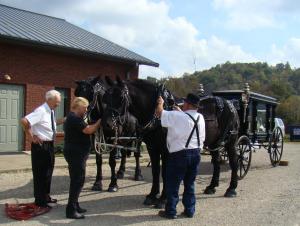 Two black Perchenon horses prepare for the procession.