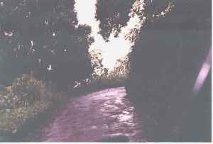 The Road to Hana