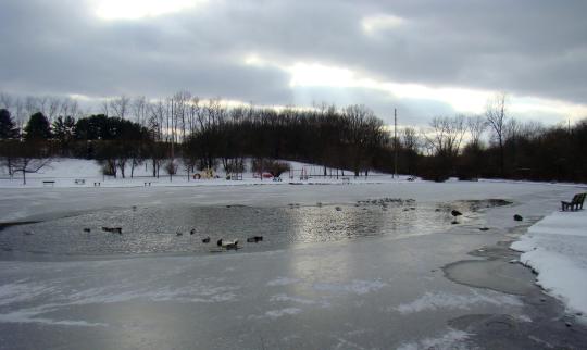 Jackson Park near Byesville provides a scenic place to walk on a winter day.