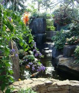 Peaceful Annie's Pond