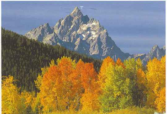 Welcome to the majestic Tetons.