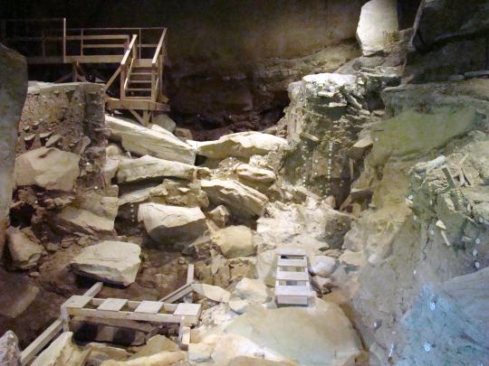 View of Tags in Dig Site