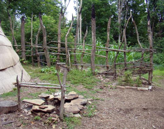 Three Sisters Garden