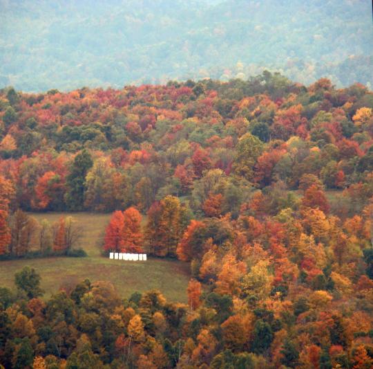A roadside peek on a cloudy day