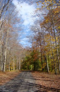 A scenic gravel road through wild, wonderful West Virginia in the fall of the year