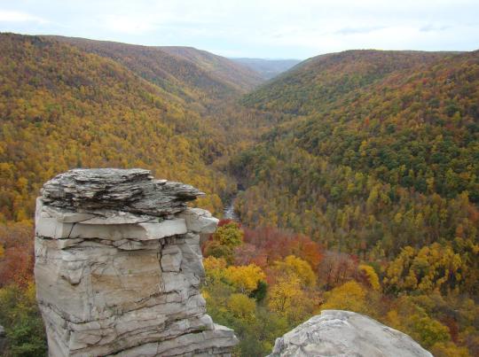 Looking over the edge at Lindy Point
