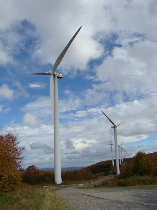 Nearby Mountaineer Wind Energy Center generates electricity.