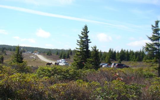 Many seem to enjoy escaping to the world of nature.