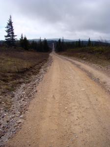 Narrow dirt road to Dolly Sods
