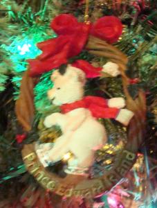 Bear ice skates on Prince Edward Island.