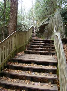 Steps at Blackwater Falls