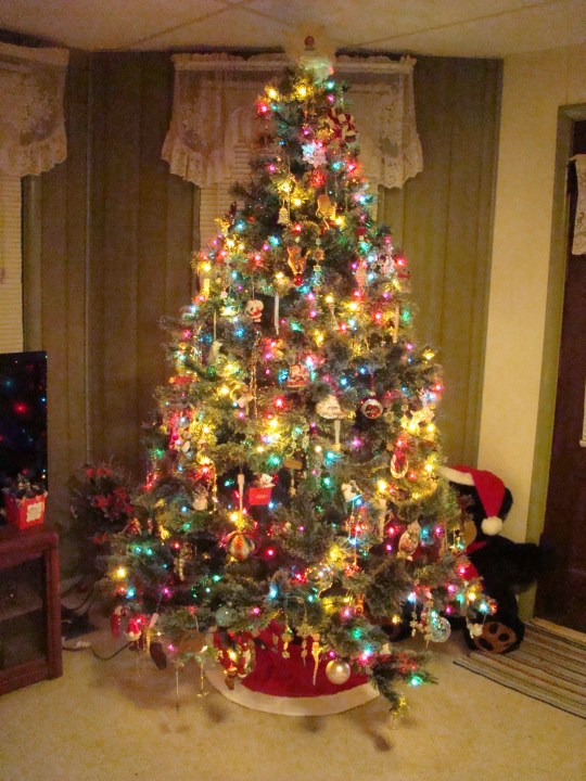 My Gypsy Tree lights up the evening.