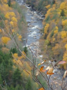 Blackwater River flows on.