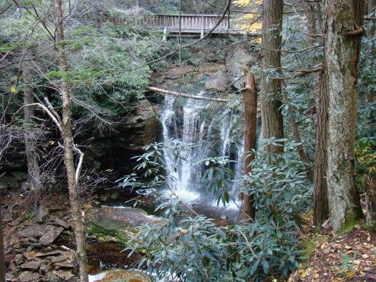 Bridge over Elakala Falls