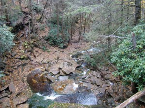 Rugged path to Elakala Falls