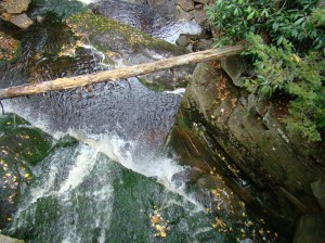 View of Elakala Falls from the top