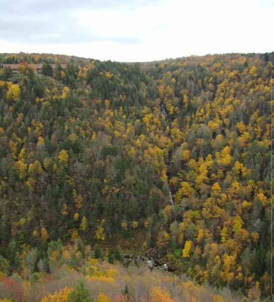 View of Elakala Falls from across the valley with State Park Lodge in the upper left hand side