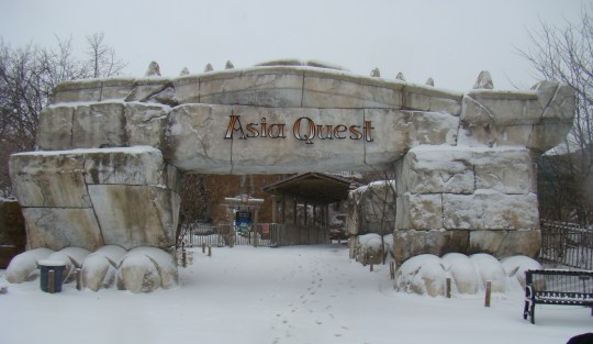 Snow covered Asian Quest very soon.