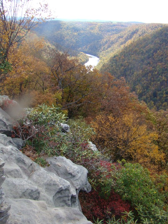 View from Cooper Rock