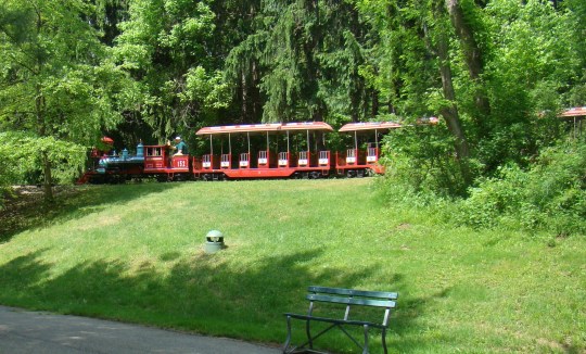 C.P. Huntington Train Ride