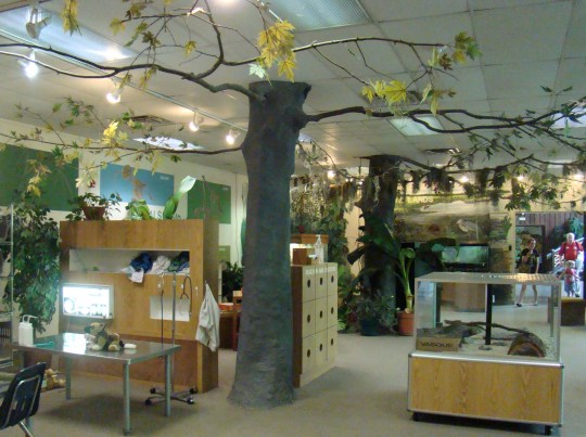 Find hands on learning at the Discovery Center.