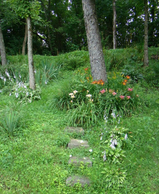 Flowers line the steps to the old coal mining road.