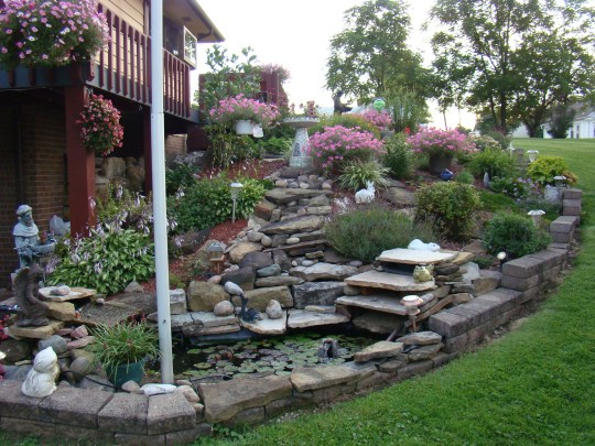 Beautiful flowers and stones surround a small pond in a neighbor's yard.