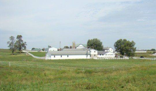 Any season of the year is a great time for taking a drive through Amish Country.