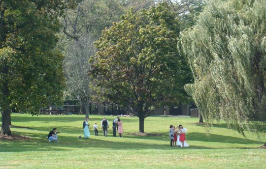 Roadside glimpse of a wedding in Amish Country