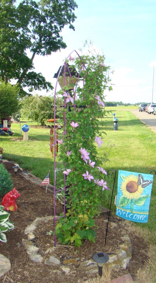 Welcome to the garden!