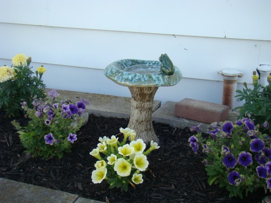 Beautiful flowers surround this bird bath.