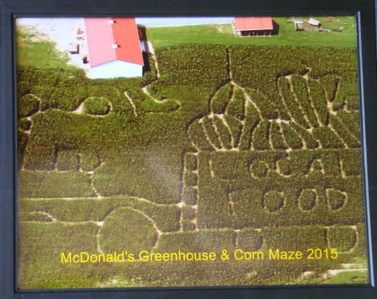 Pictures is an overview of the 2015 maze.