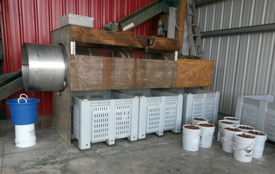 This Drum Sizer cleans and sizes the chestnuts.