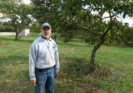 Greg Miller enjoys telling everyone about his chestnut orchard.