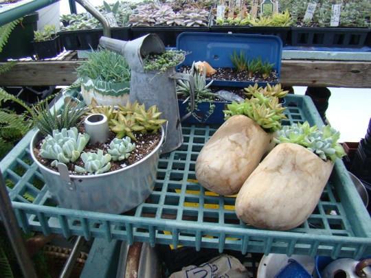 Greenhouse Containers