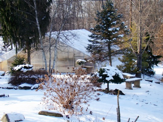 Greenhouse Snow
