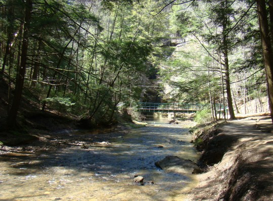 Cedar Falls stream