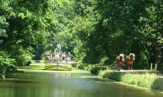 Monticello on the canal